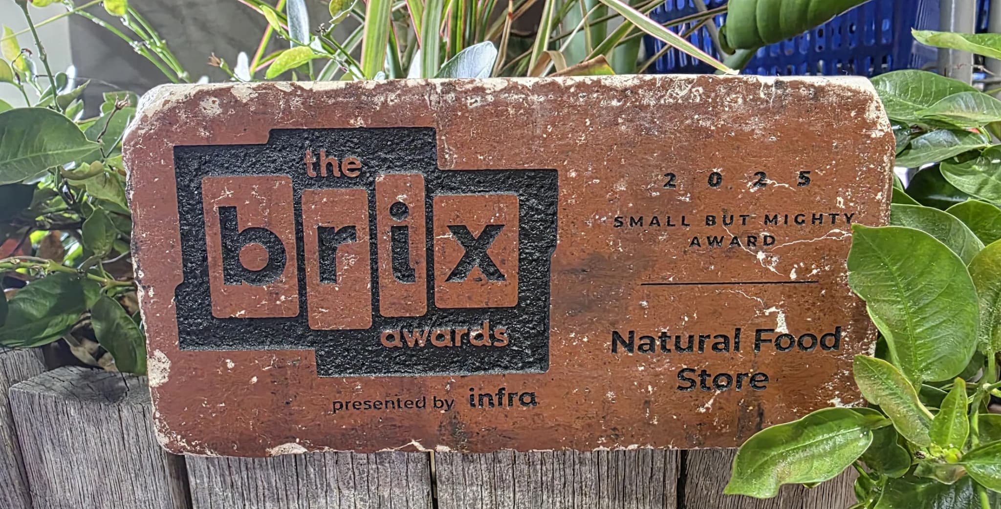 The 2025 Brix Awards Small But Mighty Award, engraved on a brick and set among garden greenery